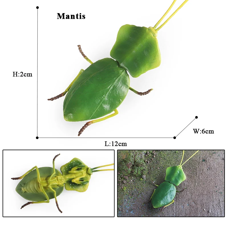 Oenux Simulation Libelle Heuschrecke Tausendfüßler Wildes Insekt Tiere Modell Actionfiguren Miniatur Bildung Sammlung Kinderspielzeug – Detail 18