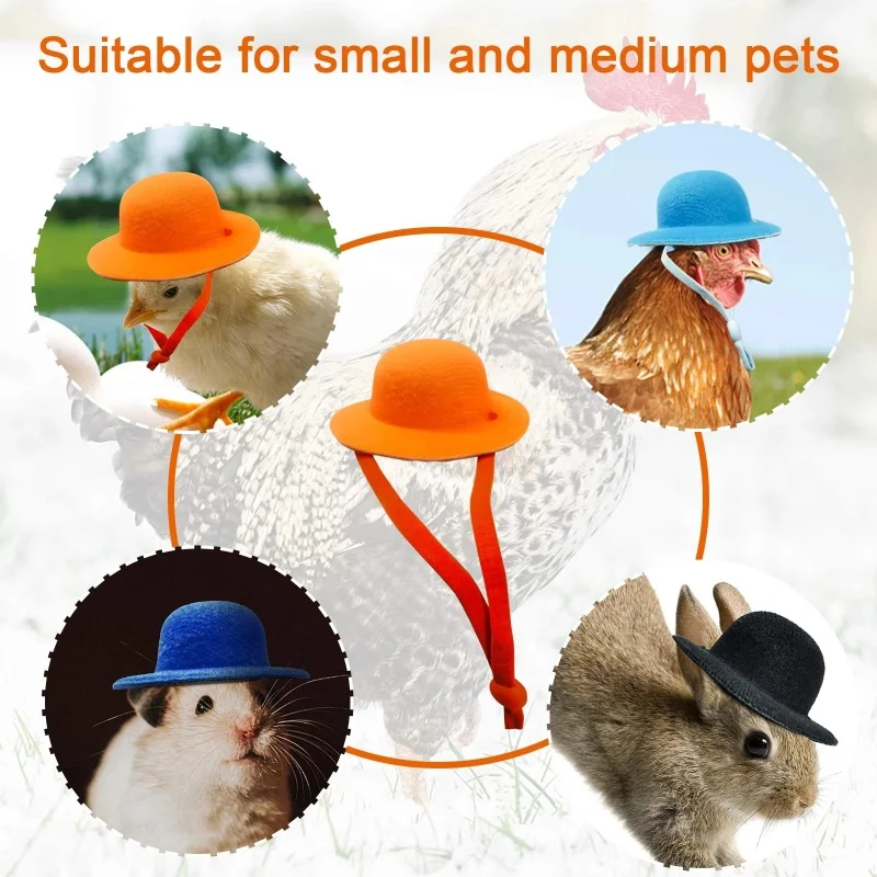 Cappello da pollo per galline Piccoli animali domestici Accessori divertenti per pollo Cappello a cilindro per gallina per gallo Anatra Pappagallo Criceto Pollame Elegante spettacolo