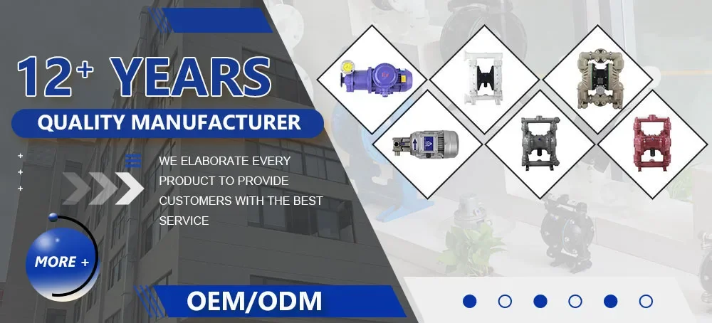 2025 مضخة مياه الصرف الصحي عالية الرفع تحت الأرض مضخة مياه الصرف الصحي الغاطسة #4