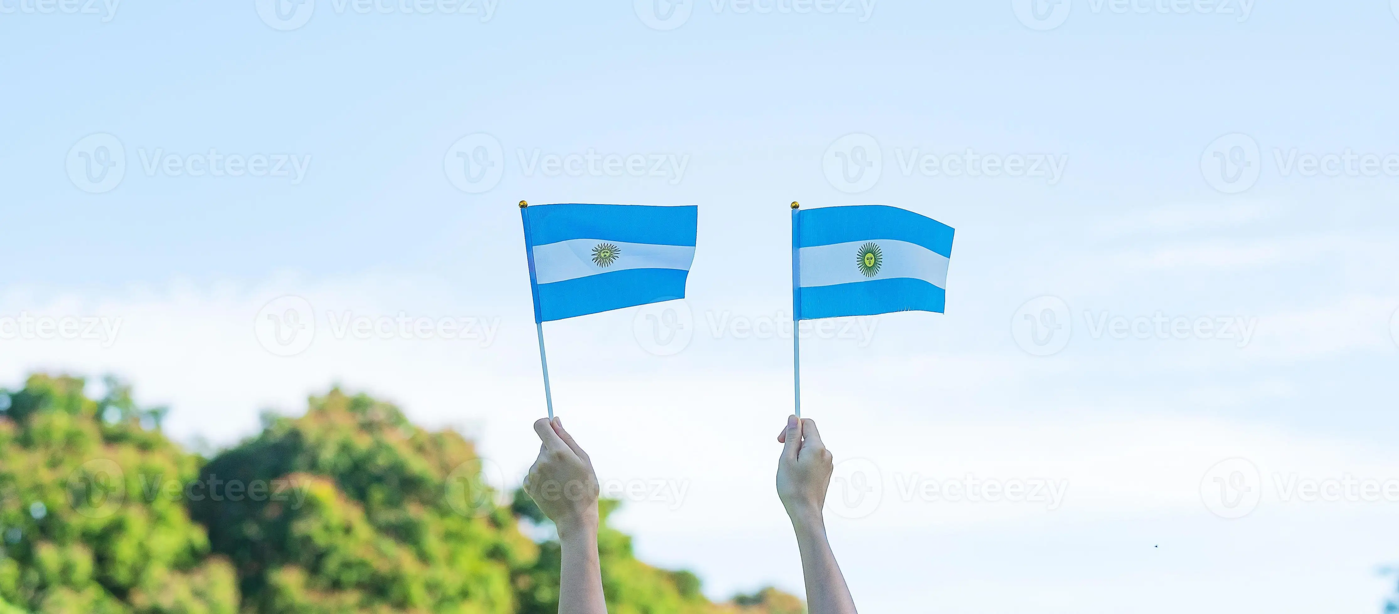 (SKY FLAG) Argentina HAND Flag 14x21cm Polyester Argentine Hand Waving Flag with Plastic Flagpoledecoration