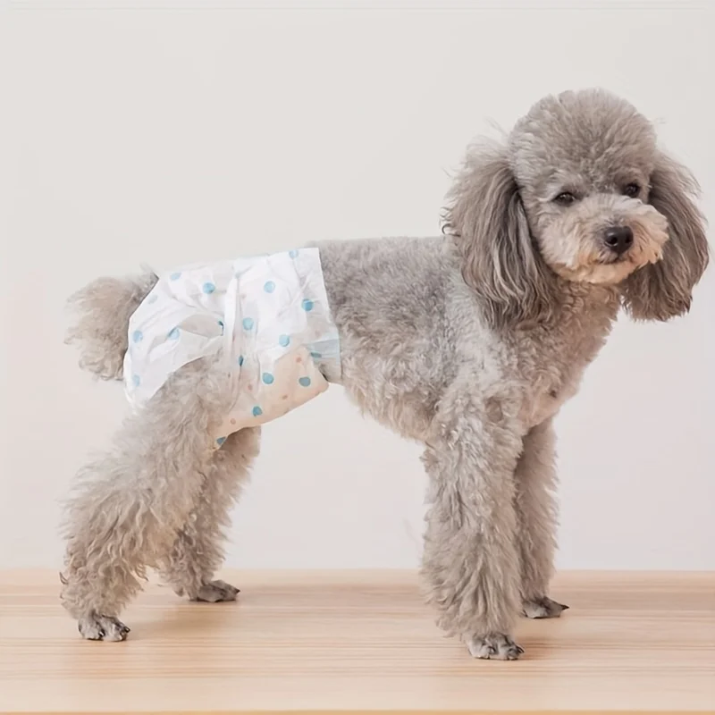 Thumbnail 4 - #63 Latest Dog Diapers Offers