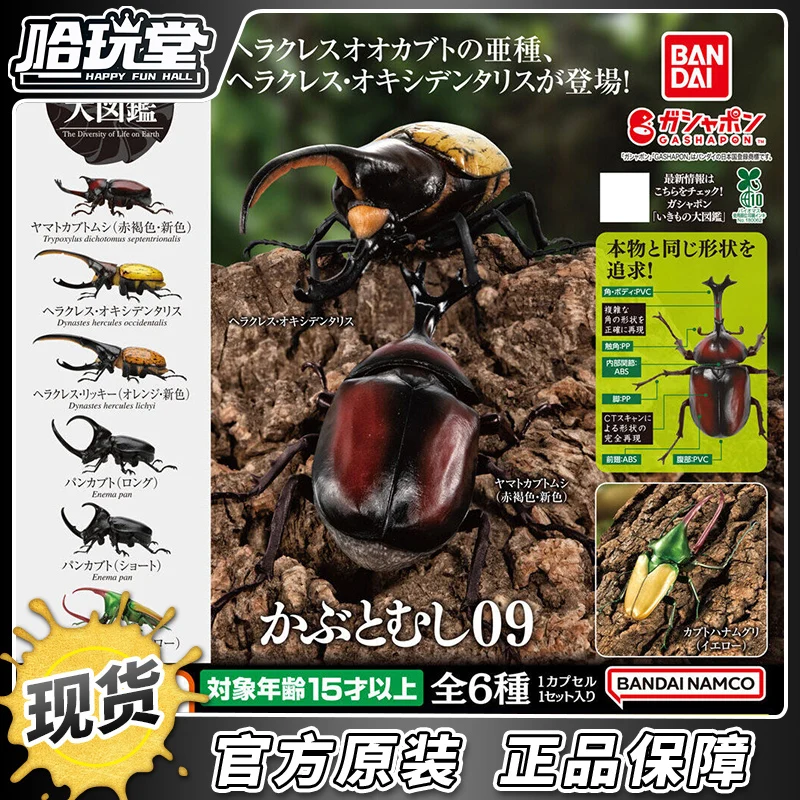 

Оригинальная коллекция насекомых Bandai Gashapon Beetle 09, фигурка Геркулес Жук, модель статуи, коллекция моделей, украшения игрушек