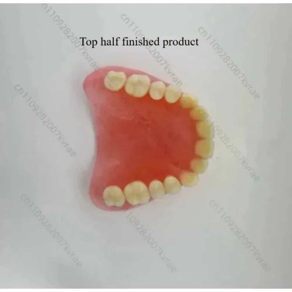 Modelo de Dientes Completos para Adultos Mayores, Suministros de Exhibición, Dentaduras Completas Removibles, Prótesis Dentales, Entrenamiento para Estudiantes de Odontología