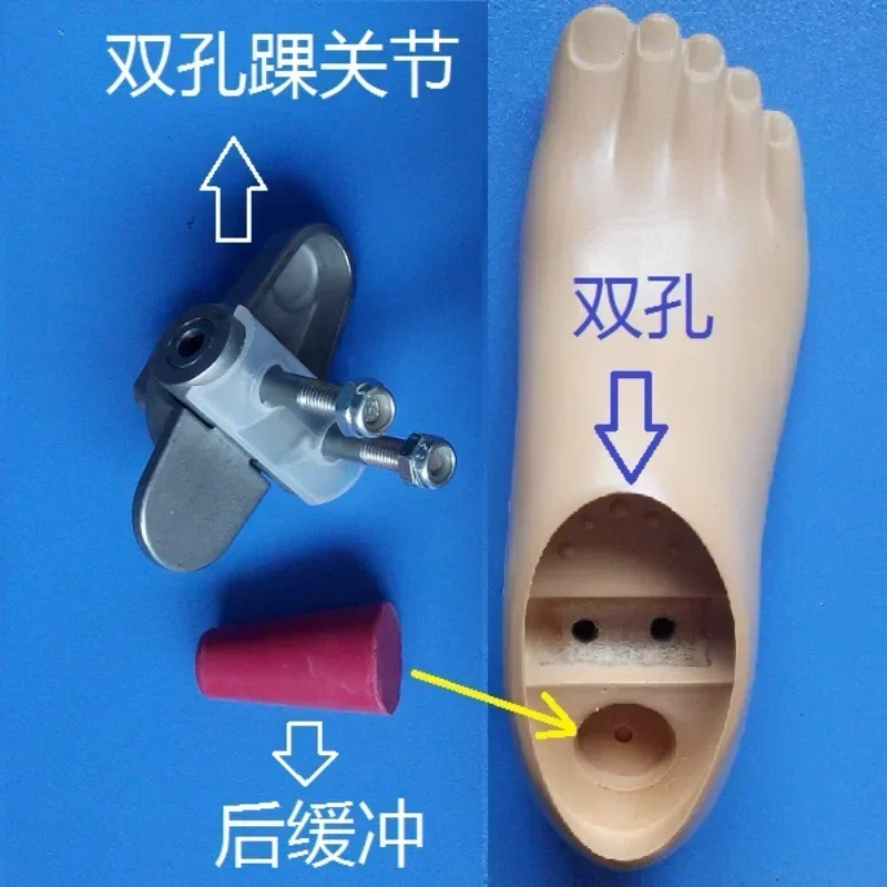 

Double-hole movable, bolt, ankle joint for prosthesis, column joint, movable joint, e branch of foot