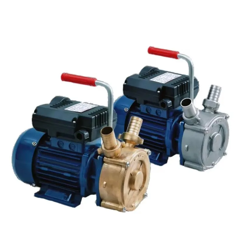 

1.0hp Peripheral Bidirectional Pump Water Pump