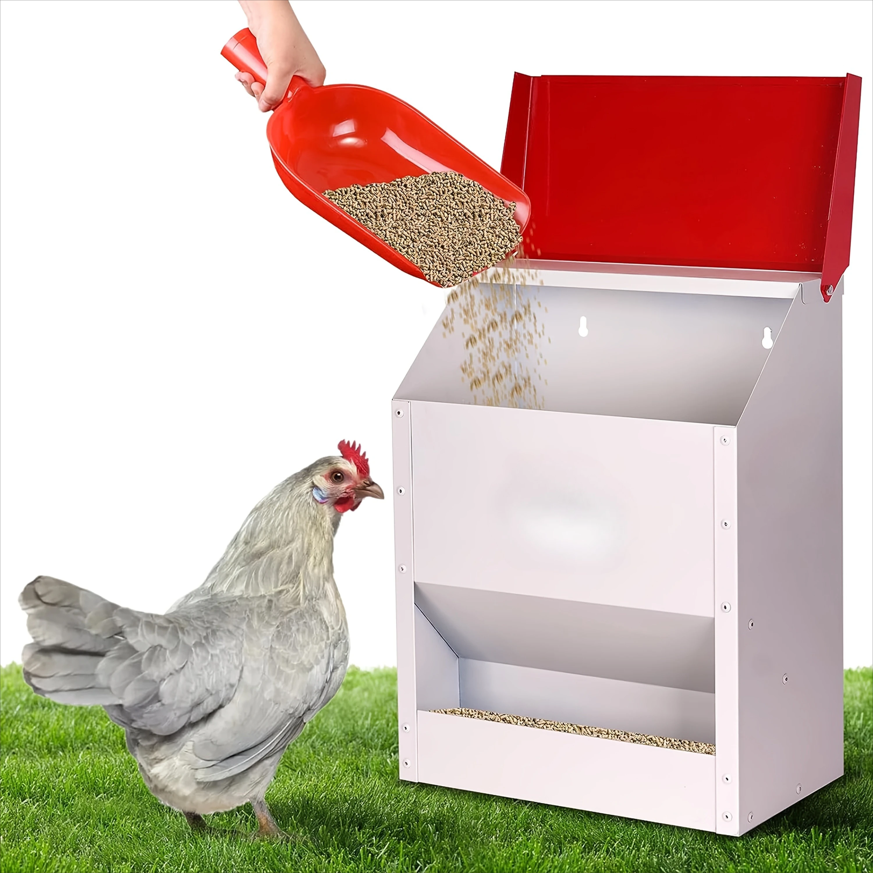 Self-Operating Metal Chicken Feeder with Waterproof Lid Galvanized Wall-Mounted Design Small Animal Supplies Pet Accessories