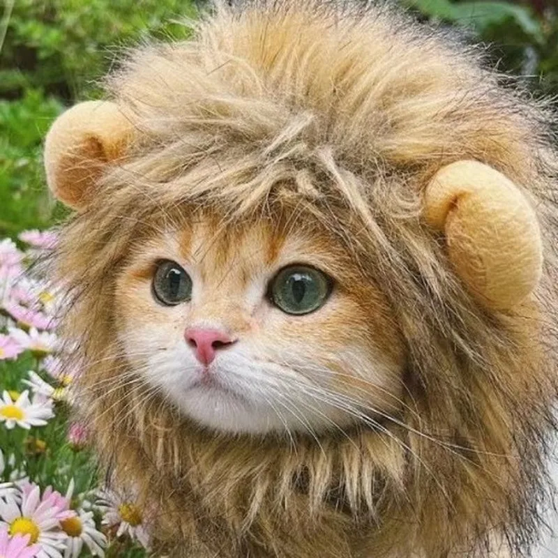 Pet Wig Funny Lion Head Cover Piggy Cat Decorative Hat Chicken Pet Head Cover Panda Dog Head Cover Cross Dressing Pet Supplies