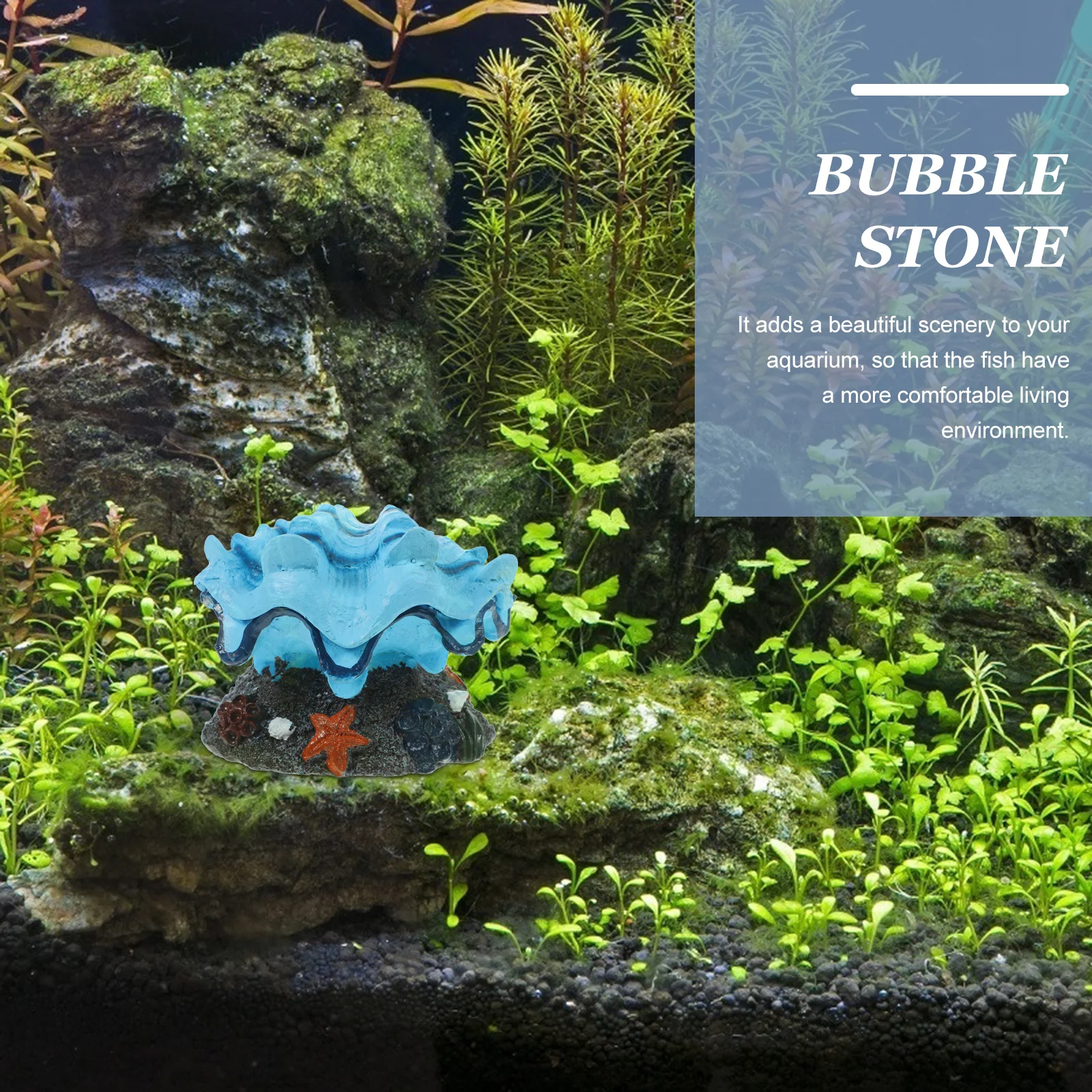 

Resin Tropical Clam Decor Shell Modeling Aquarium Bubbler Diffuser for Fish Tank Aeration Oxygenation Stable Base Small Air