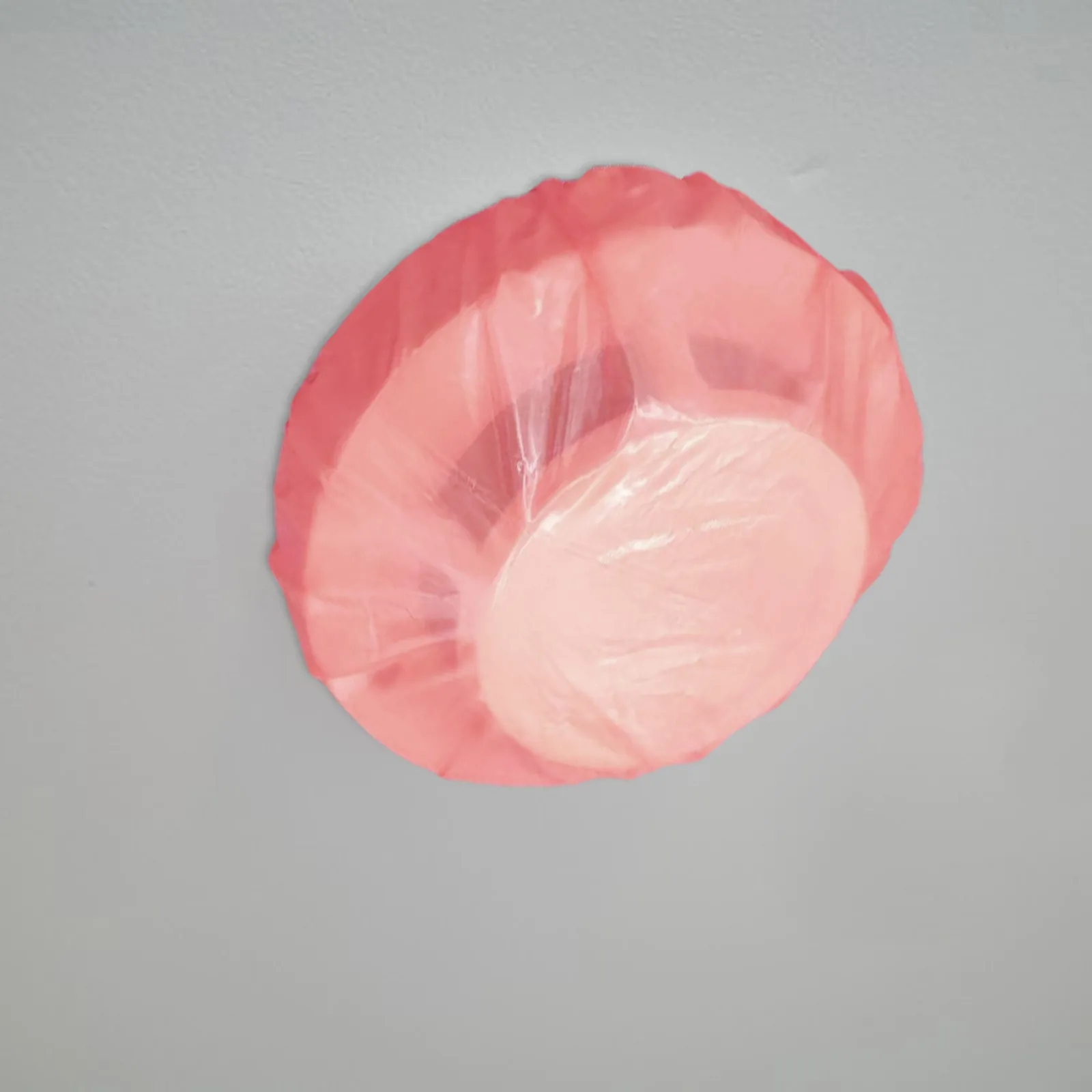 50pcs Fire Alarm Dust Covers Smoke Detector Protective Cover Replacement for Home Office Clear Plastic Caps for Electronic Alarm
