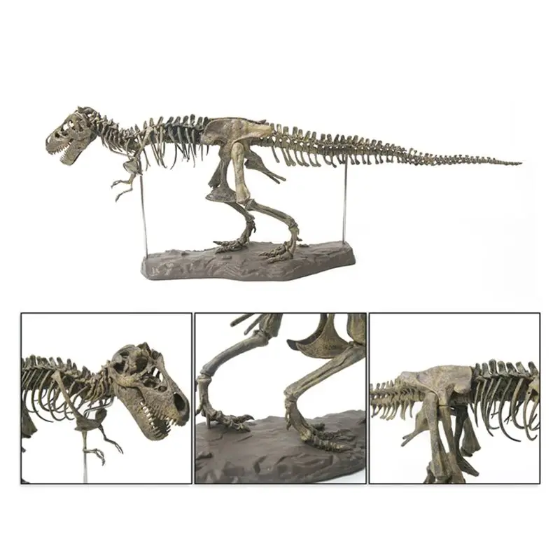 Levendige dinosaurusmodel botten prehistorische dino skelet beeldje dierentuin boetiekwinkel aanbod miniatuur standbeeld award