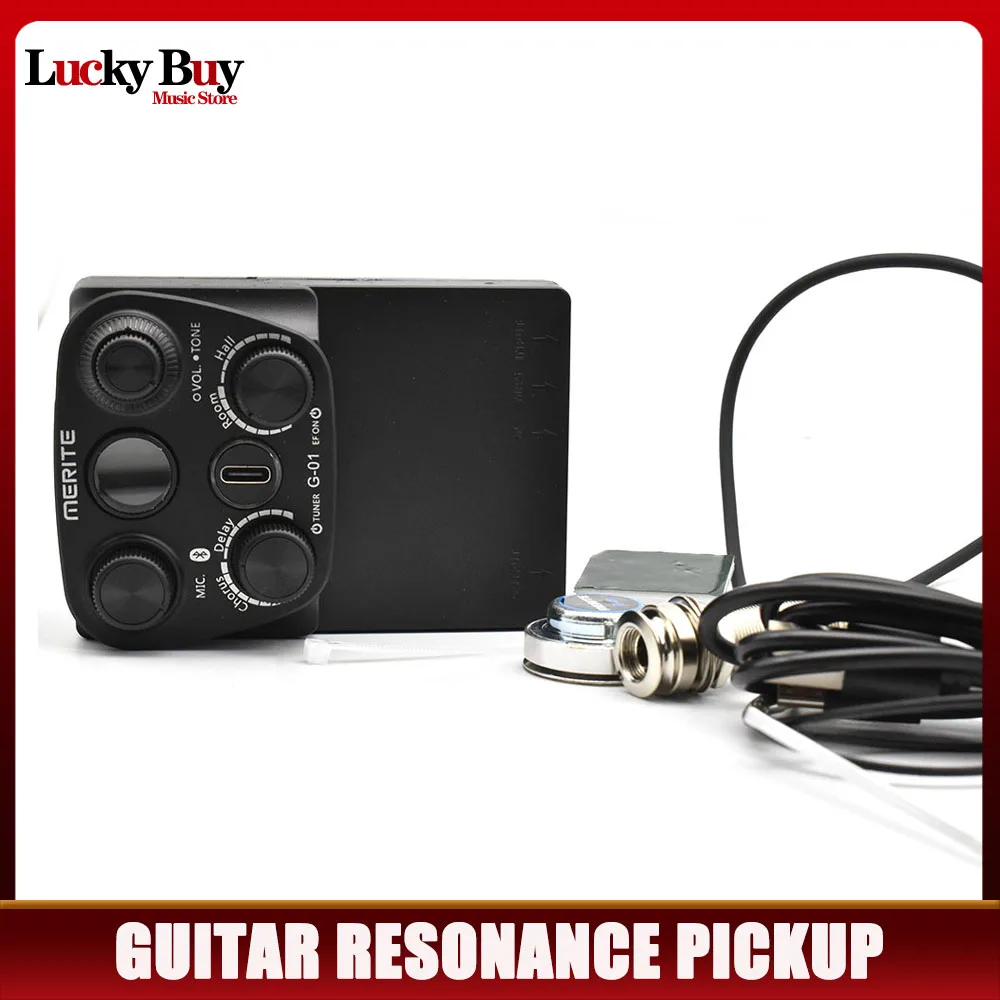

Звукосниматель G10 для акустической гитары со встроенным ревербератором и эффектом задержки хора с микрофоном и поддержкой функции тюнера
