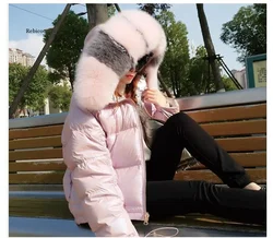 winter Eco-friendly fox fur collar cotton padded down jacket  fake fur coat Regular fashion warm big fur collar women's coat