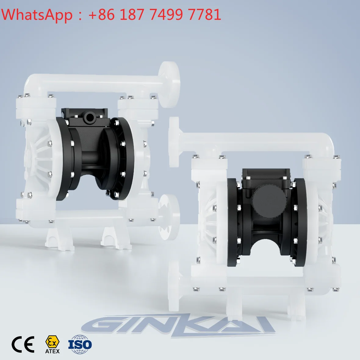 Sanitary Air Operated Double Diaphragm Pump Filter Press Feeding Industrial Pump Spare Parts Repair Kit
