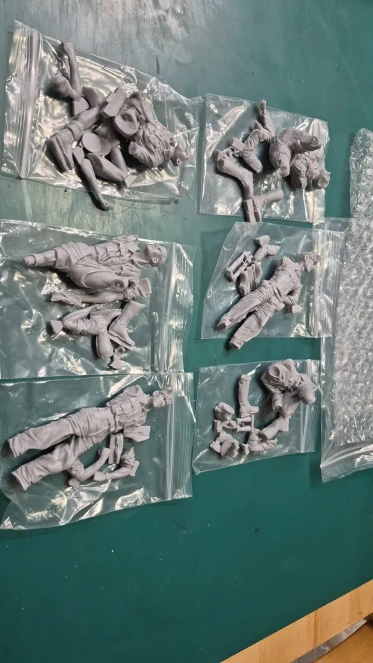 Buyer photo of this resin kit