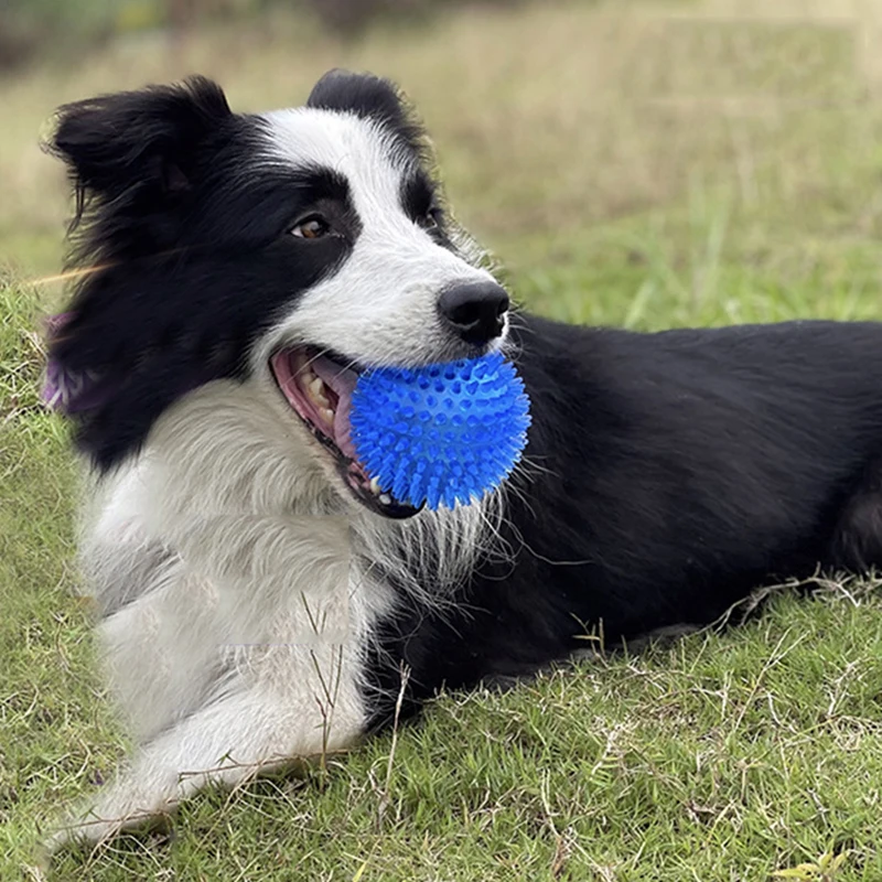 Bite Resistant Pet Chew Ball Toys for Small Large Dogs Elastic Buoyant Squeaky Puppy Big Dog Toy Border Shepherd Collie Supplies