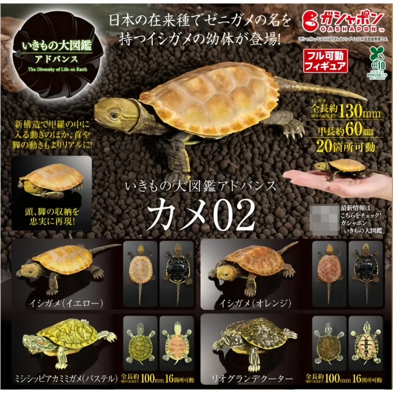 

Bandai Genuine Biological Encyclopedia Gashapon Toys Turtle Series 2 Red-Eared Turtle Simulated Animals Model Decoration Toy