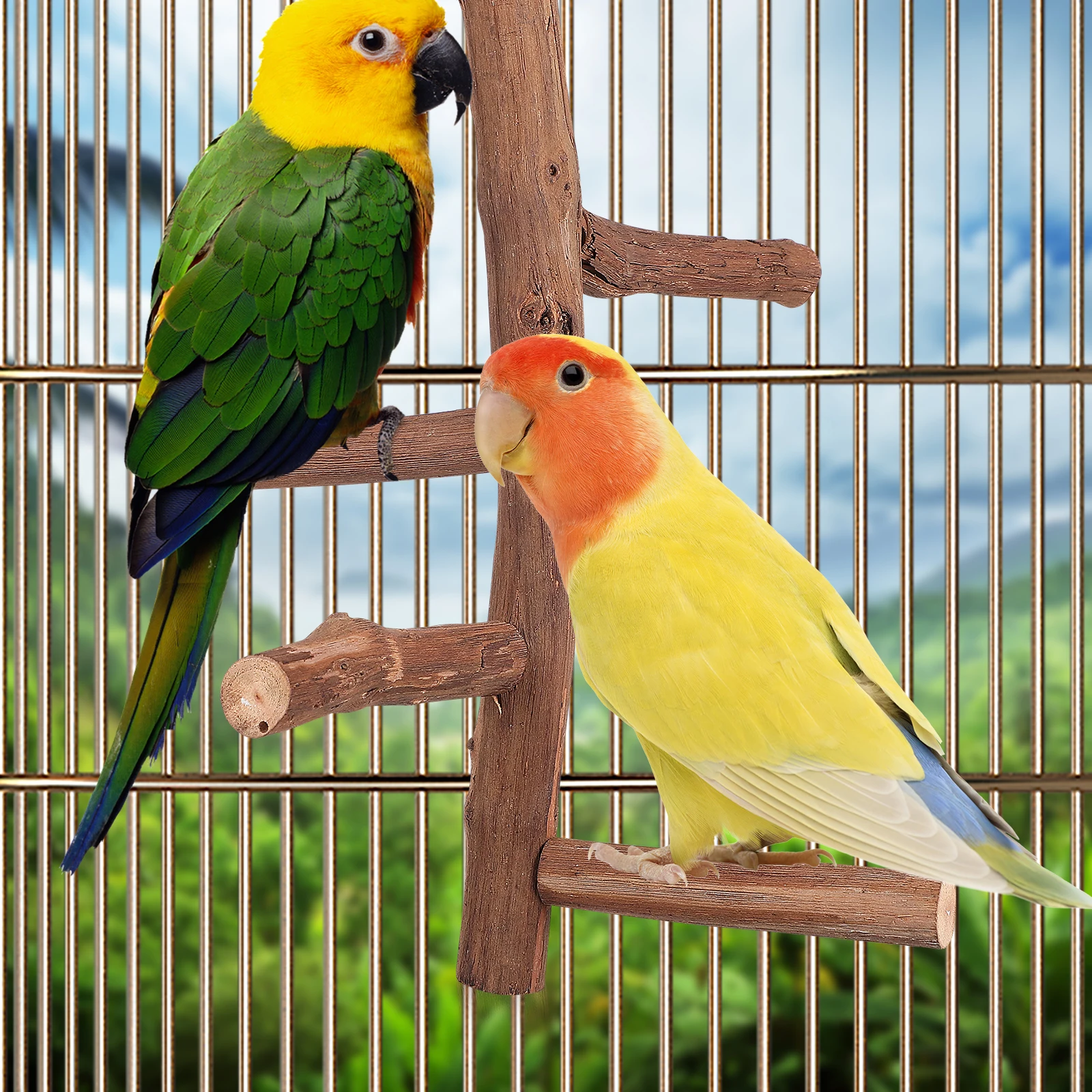 

Wooden Parrot Perch Stand Grape Wood Stick Multiple Branches Rough Surface For Climbing Chewing Hanging Cage Vegetable Clips For
