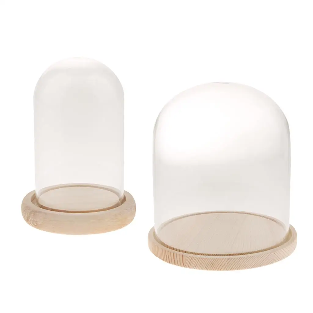 2-pack Glass Dome with Base Retro Display Bell Jar Case for Plants Food