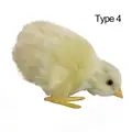 Type 4