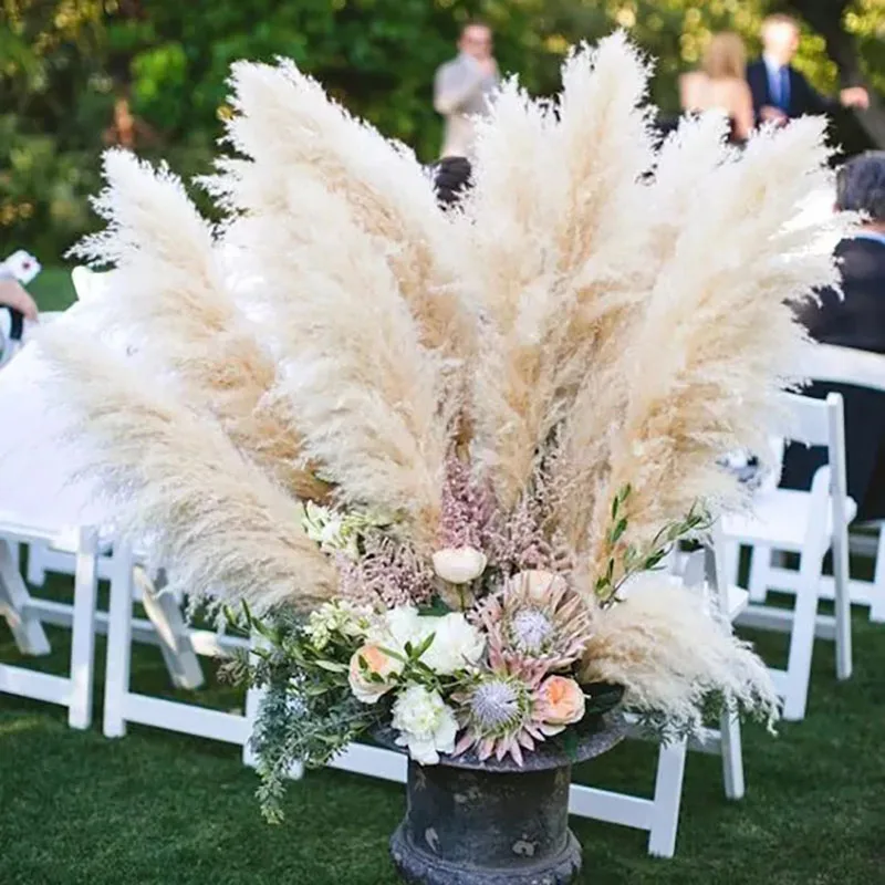 Wedding Decorations 80cm Natural Large Dry Pampas Grass Dried Flower Reed Boho Home Decor Party Background Natural Pampas Grass