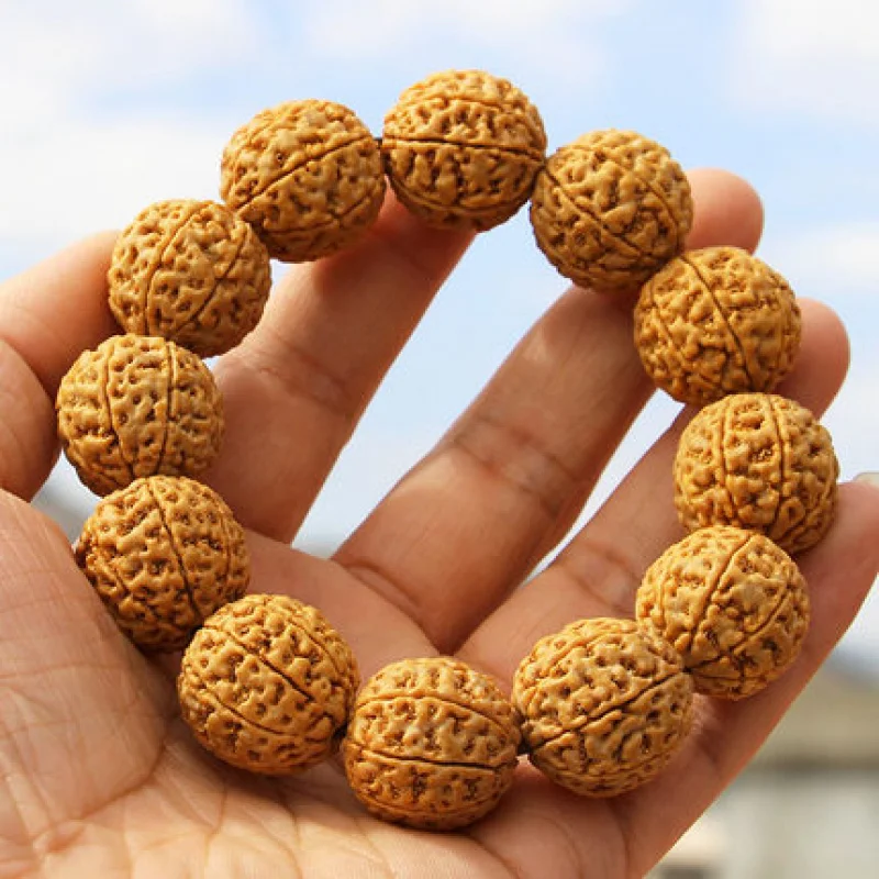 Genuine Goods Big Rudraksha Beads Bracelet Honeycomb Full of Meat 6 6 6 8 8 9 9 Mukhi Peach Pit Male Crafts Prayer Bead Bodh