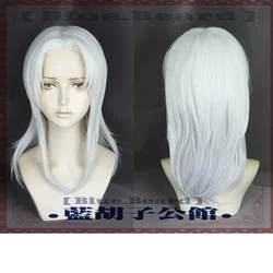 The Dragon Prince Rayla Wig 60cm Silver White Curly Synthetic Cosplay Costume Wigs