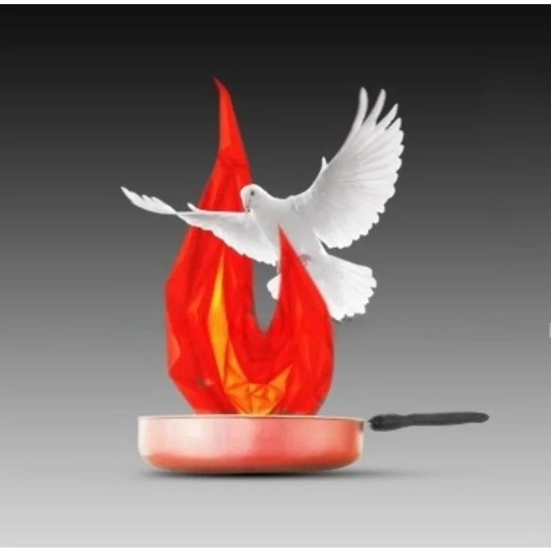 Cook On Fire Stage … - image