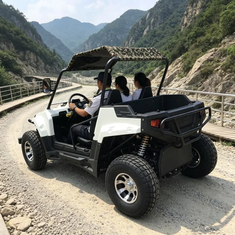 Italy payment link YG200E-13 ATV with winch and tow hook no battery DDP