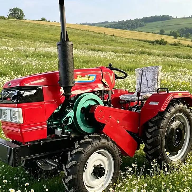 Customized Practica…