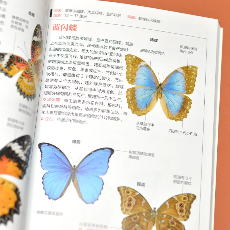 كتالوج الفراشة، الدليل المصور لـ 158 فراشة و60 عث، فهم شامل لعادات نموهم