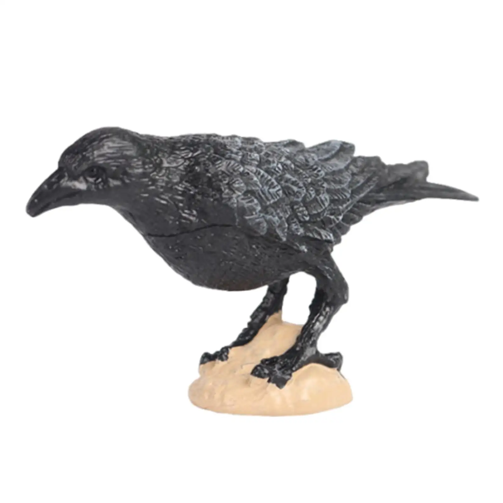 Simulation Parrot Figurine Realistic Bird Animal Sculpture for Party Favors Cake Toppers Bath Toys Teaching Aids Micro Landscape