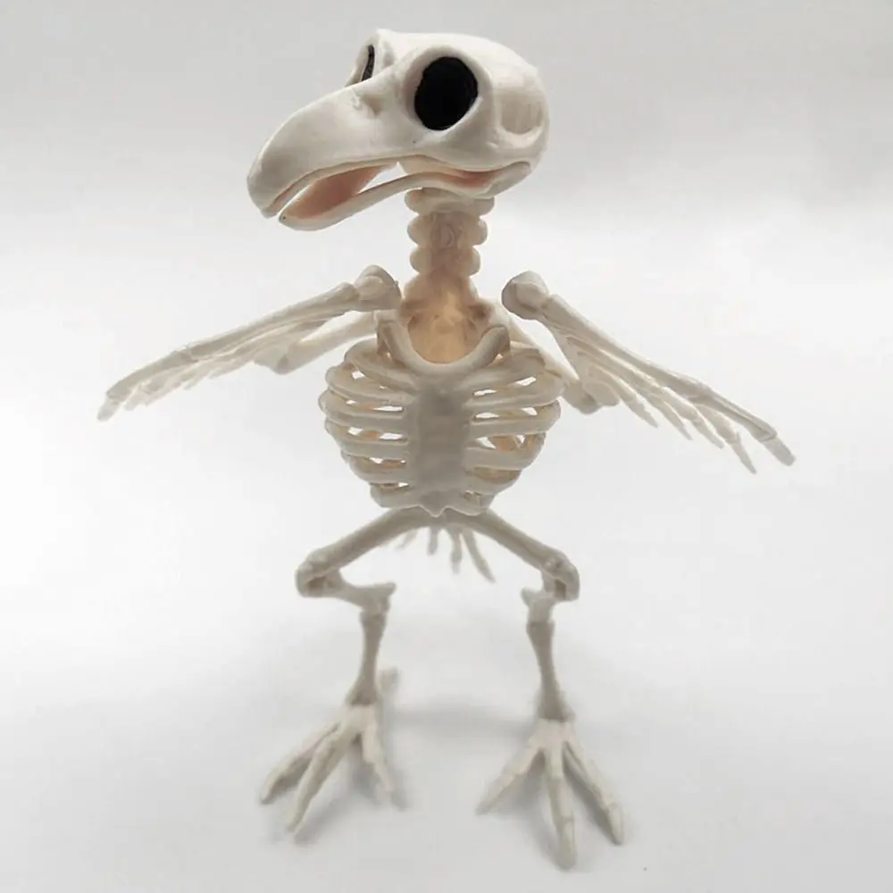 Crazy Bone Skeleton Raven Plastic Animal Skeleton Bones Horror Halloween Party Prop Decoration Bird Crow Skeleton Decoration