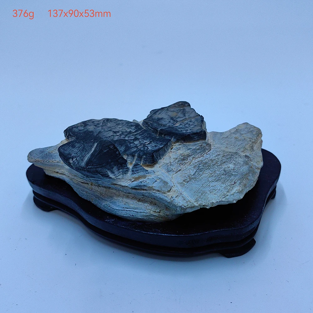 1PC Asian Natural Stones Mountain Series Men Gift Piedras Decorativas Room Decoration Office Decoration Stone Cadeau Homme Rock