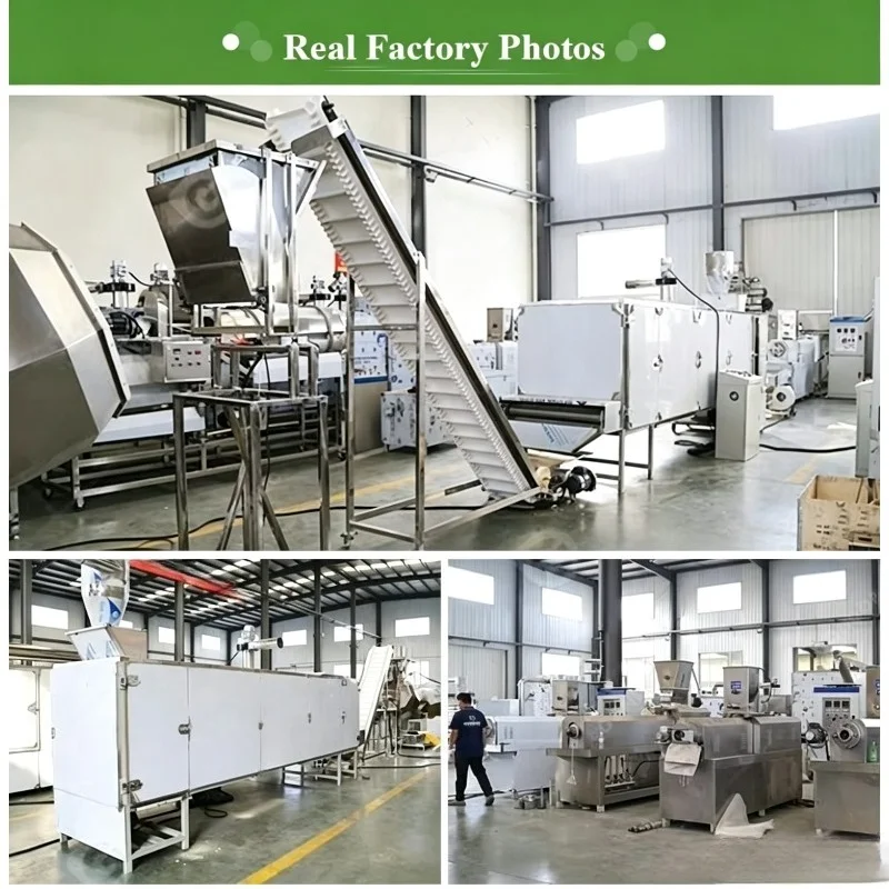 Customized Commercial Corn Pasta Extruder Equipment Industrial  Macaroni Spaghetti Noodle Processing Machine