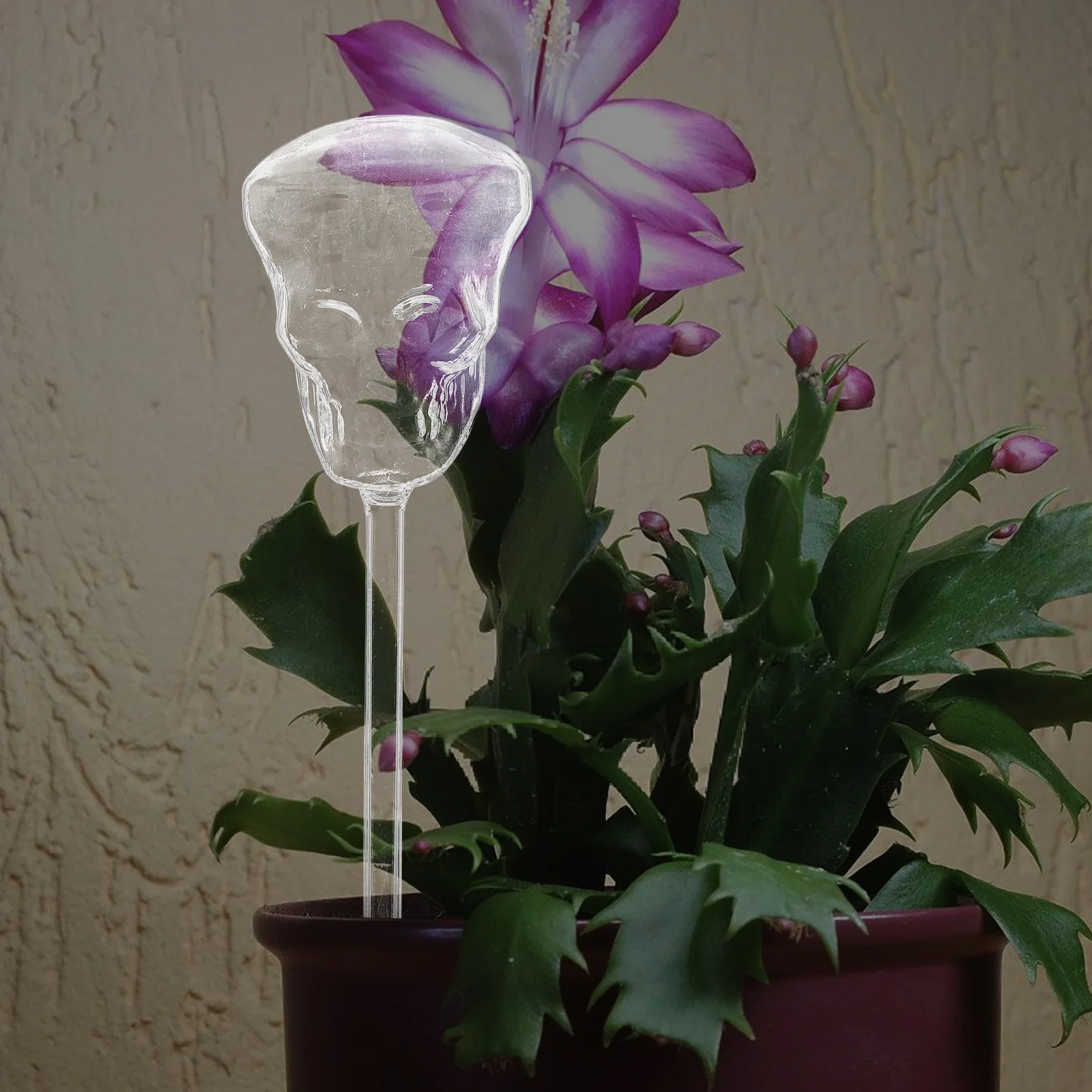 

Skull Shaped Glass Automatic Watering Device for Houseplants Garden Patio Lawn - Self Watering Plant Spike with Premium