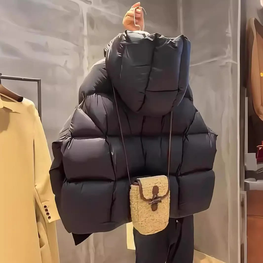 90% White Duck Down Women Down Jackets 2026 New Female Stand Collar Puffer Jacket Casual Loose Hooded Parkas