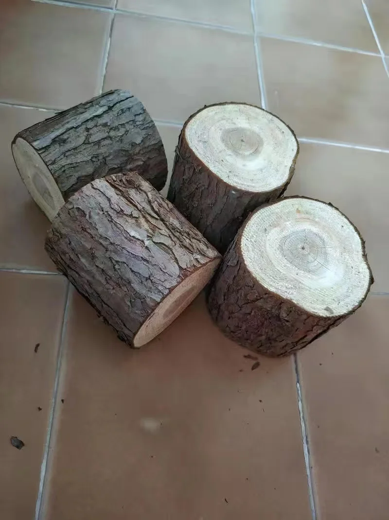 Small Log Pile Model Base Platform Cedar Log Piece Photo Prop Background Wall Decoration Material Tree Segment Log Stool