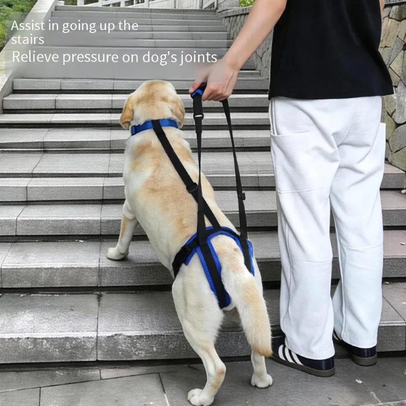 Dog Hind Leg Support Sling for Stairs, Adjustable Lift Harness for Senior Disabled Dogs, Mobility Aid for Up Down Stairs