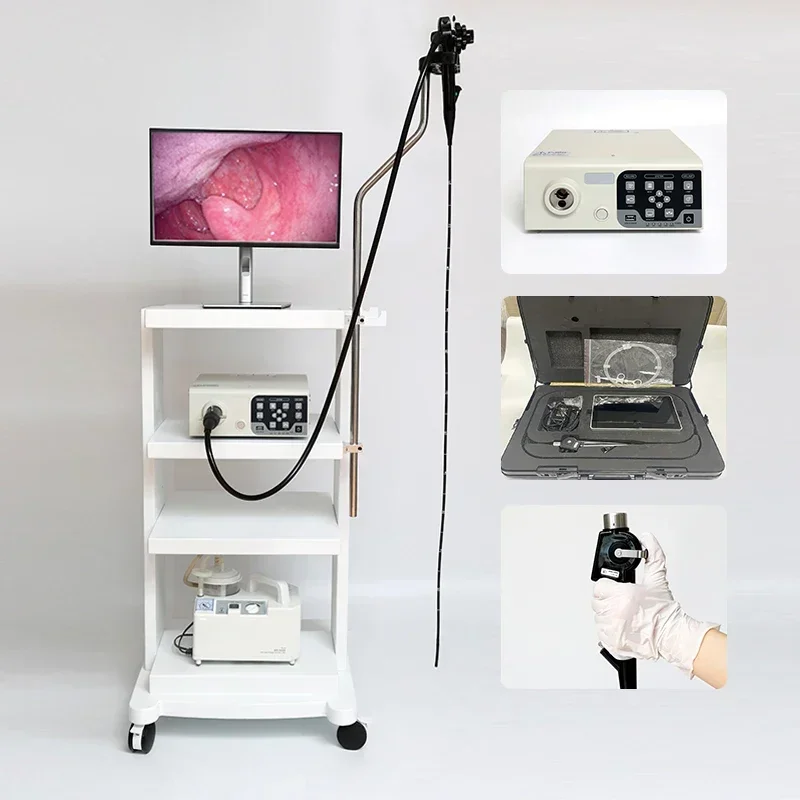 Customized Veterinary Endoscope Gastrointestinal Endoscopy Pet Animal Hospital Ca-me-ra Endoscopic 4k Endoscopic Image System