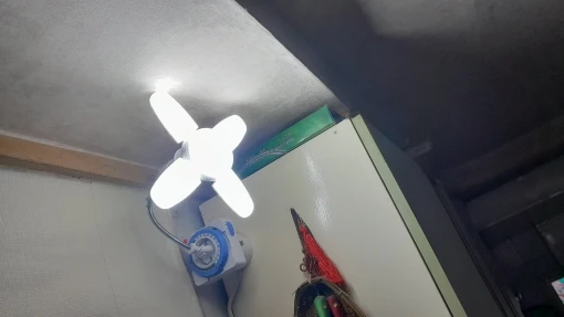 리뷰 사진
