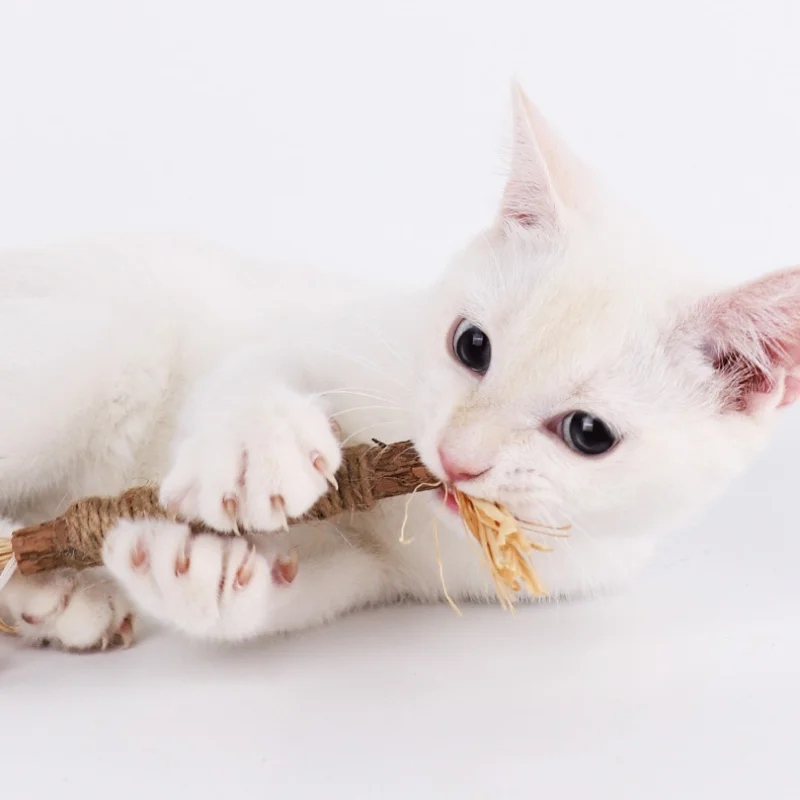 1 Pc Cat Silvervine Chew Stick Toy Polygonum Kitty Bite Raffia Grass Pet Supplies Cleaning Teeth Stick Pet Cat Toy Hemp Rope