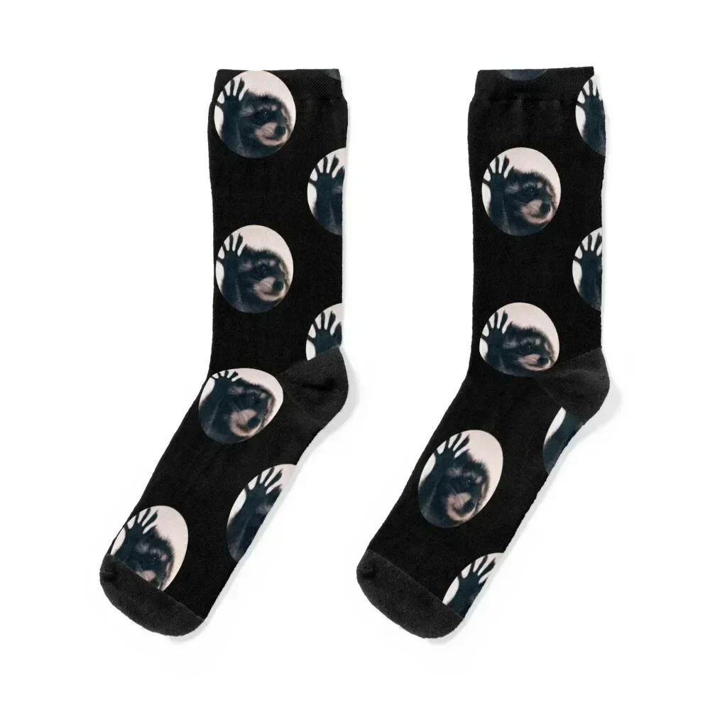 

Raccoon dancing, viral video Pedro Socks kawaii moving stockings funny gift Socks Men Women's