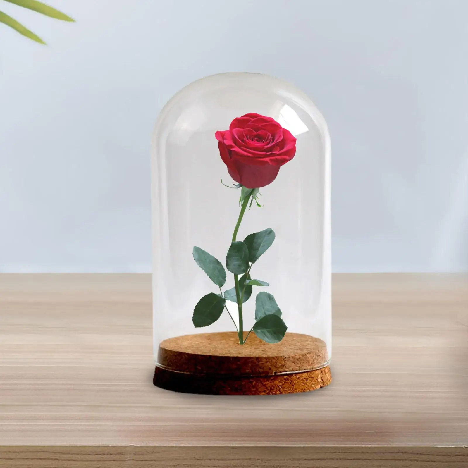 Preserved Flower Glass Cover Clear Glass Display Case Dome Glass Display Case for Christmas