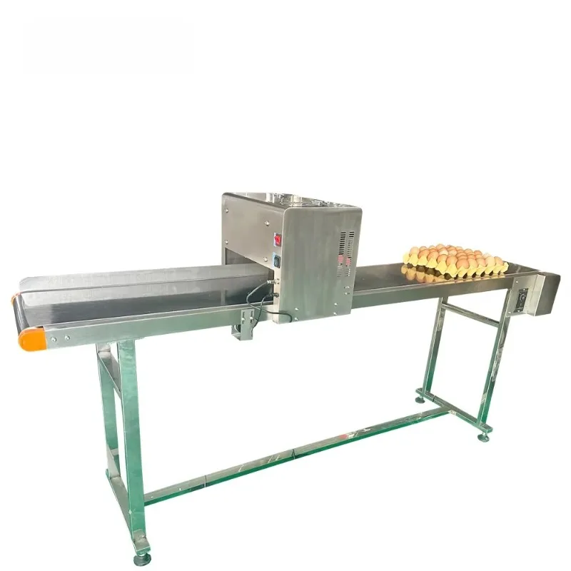 Laser Thermal Easter Egg Printing Duck Egg Printer Machine Easy to Operate for Export