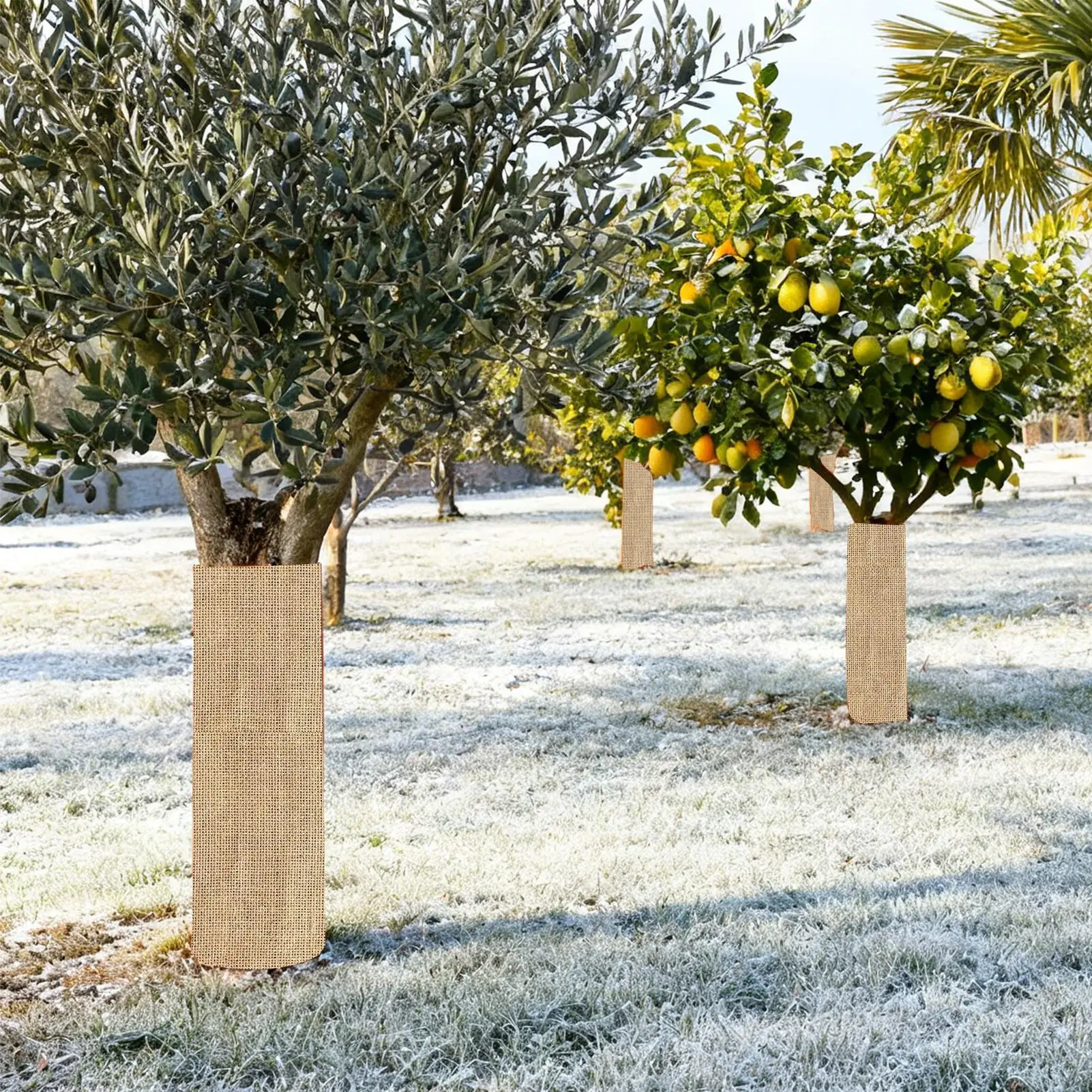 

Frost Cloths For Outdoor Plants Burlap Shade Cloth Natural Burlap Plant Covers For Fruit Tree Vegetable Berry Bush Garden Shrub