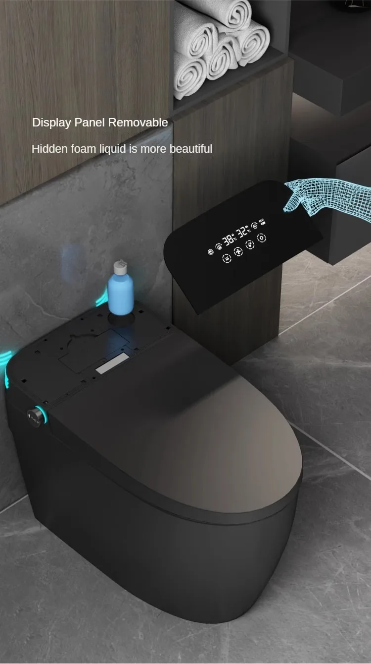 

Rice Gun Gray Color Smart Toilet Home Fully Automatic Siphon Double Waterway