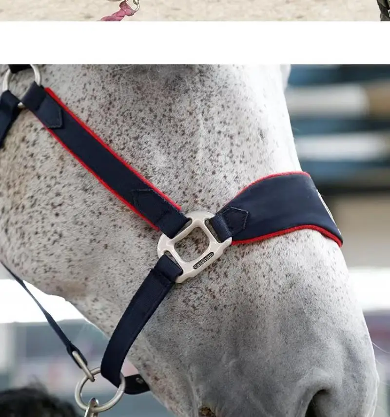 1Pc Exquisite Embroidered Anti-Abrasion Bridle Harness Horse Riding Equipment Equestrian Sports Professional Accessories