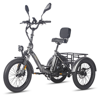 FAFREES F20 Mate Adult Electric Tricycle 750W 48V 18.2 Ah Removable Battery Full Suspension Folding Electric Cargo Tricycle