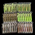 SS01-6COLORX8