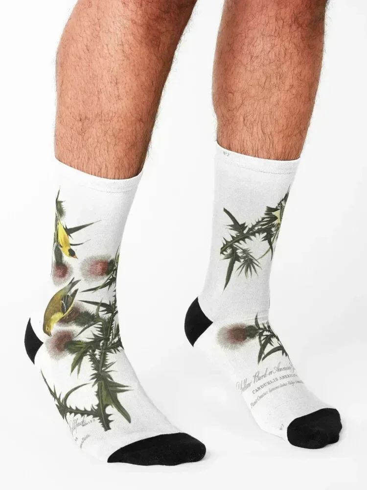 Рисунок 3 - Носки Goldfinch and Thistle